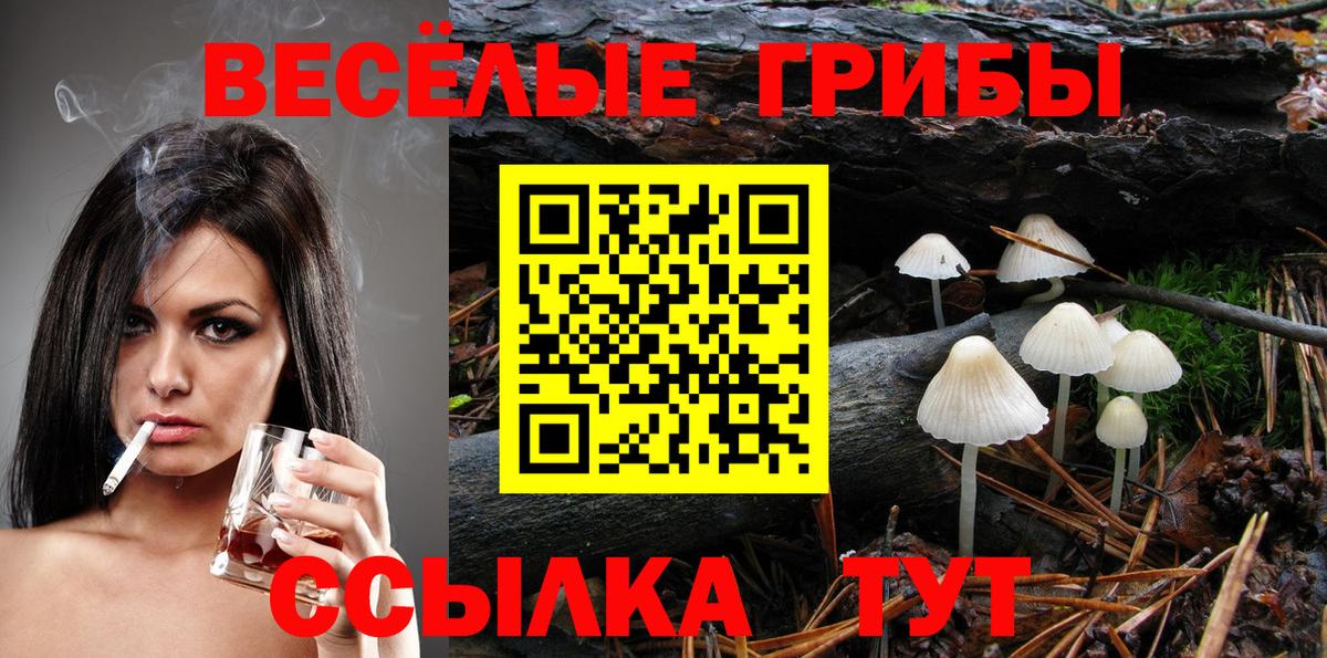 Галлюциногенные грибы Cubensis Вольск