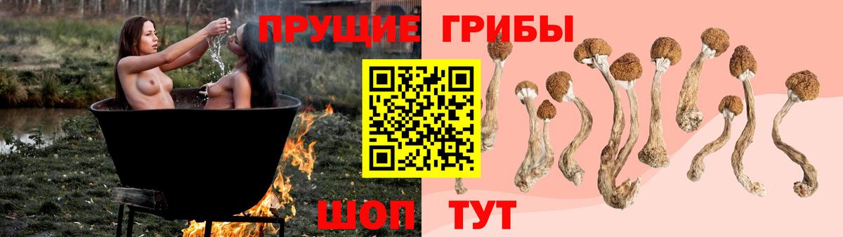 Галлюциногенные грибы мицелий  Вход с VPN  Вольск  Псилоцибиновые грибы MAGIC MUSHROOMS 